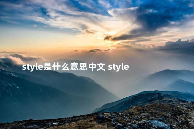 style是什么意思中文 stylecode翻译成中文